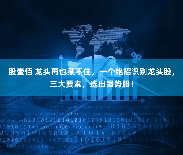 股壹佰 龙头再也藏不住，一个绝招识别龙头股，三大要素，选出强势股！